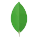 MongoDB MongoDB